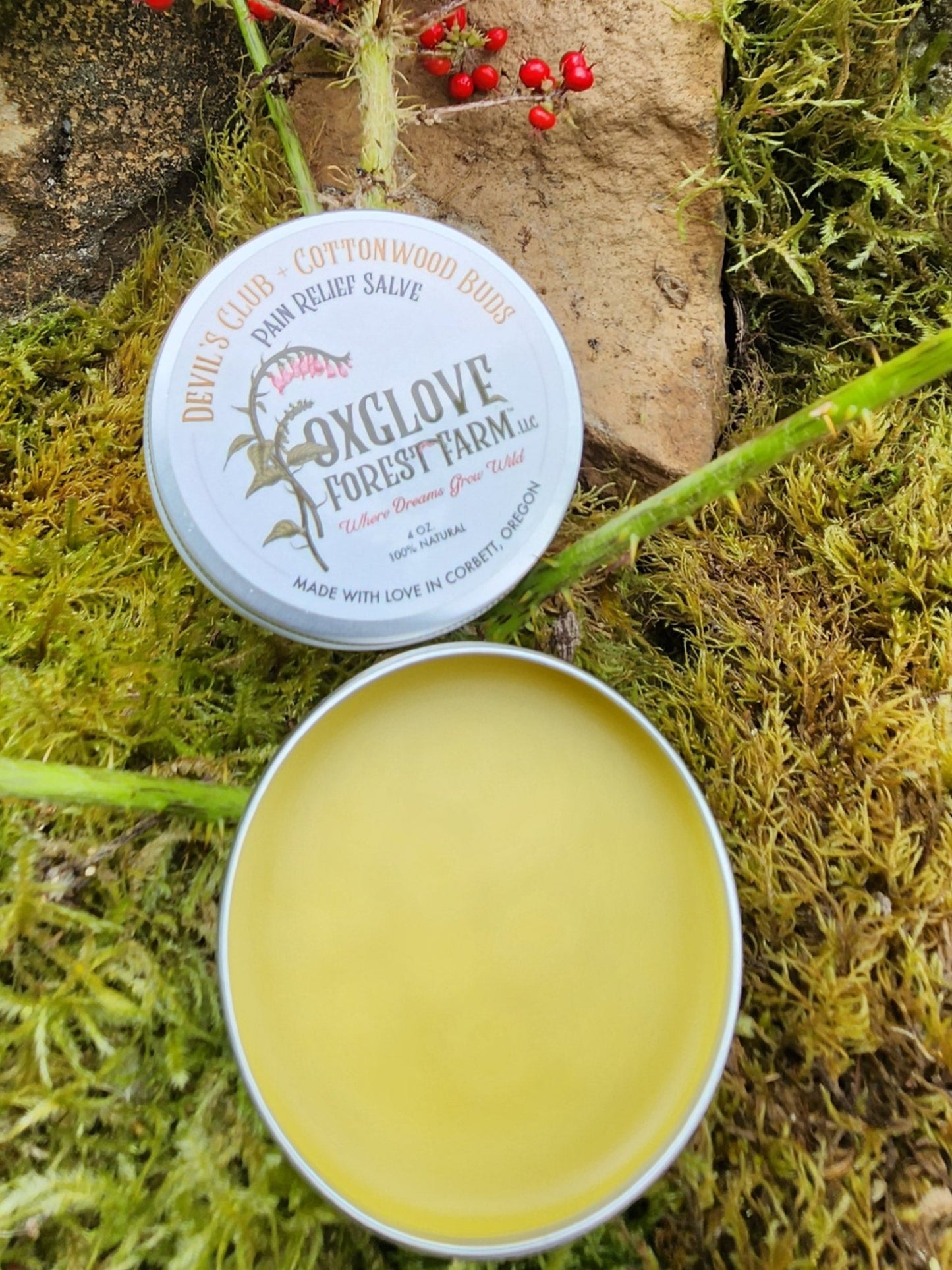 Devil’s Club + Cottonwood Buds Pain Salve