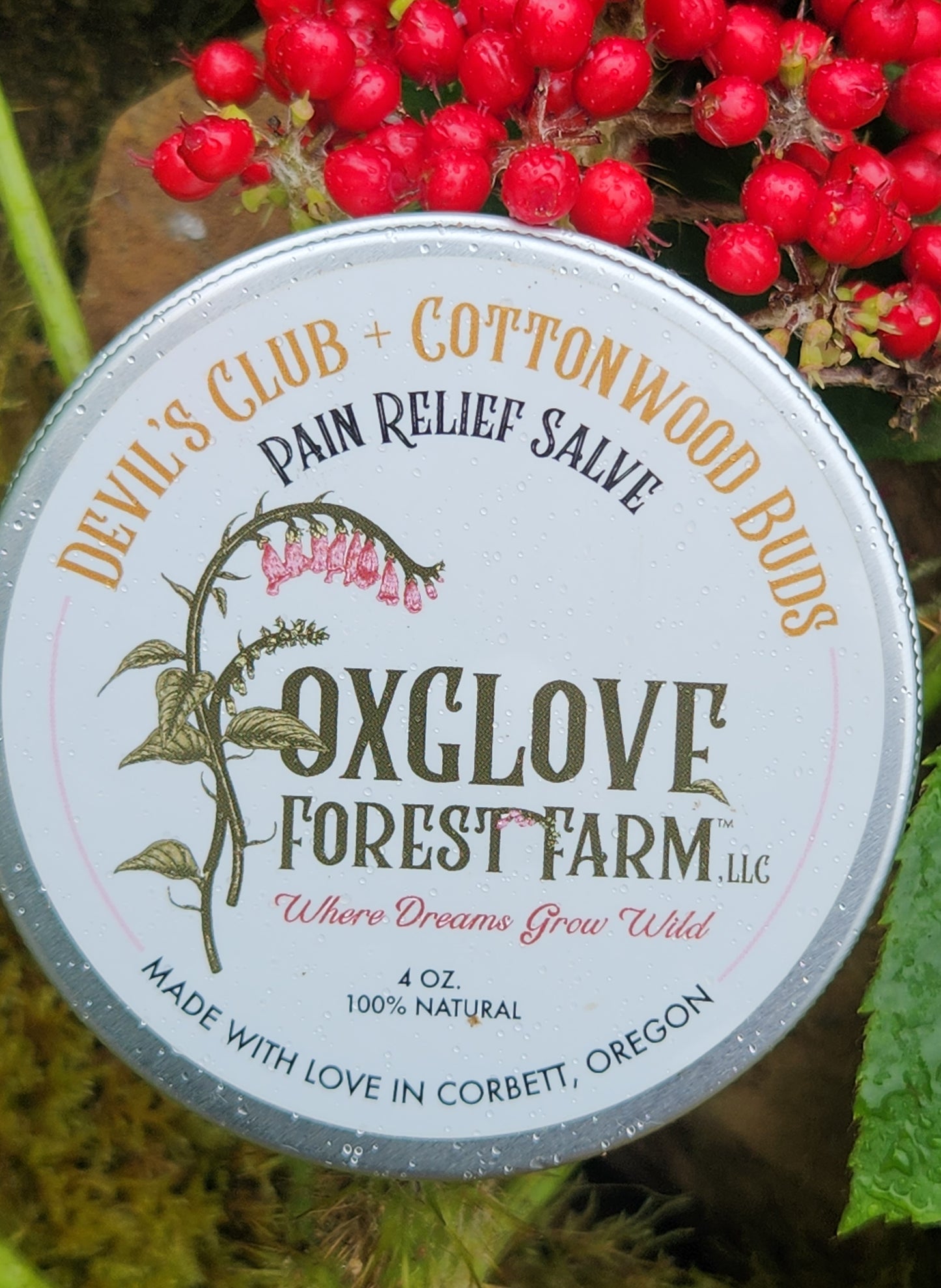 Devil’s Club + Cottonwood Buds Pain Salve