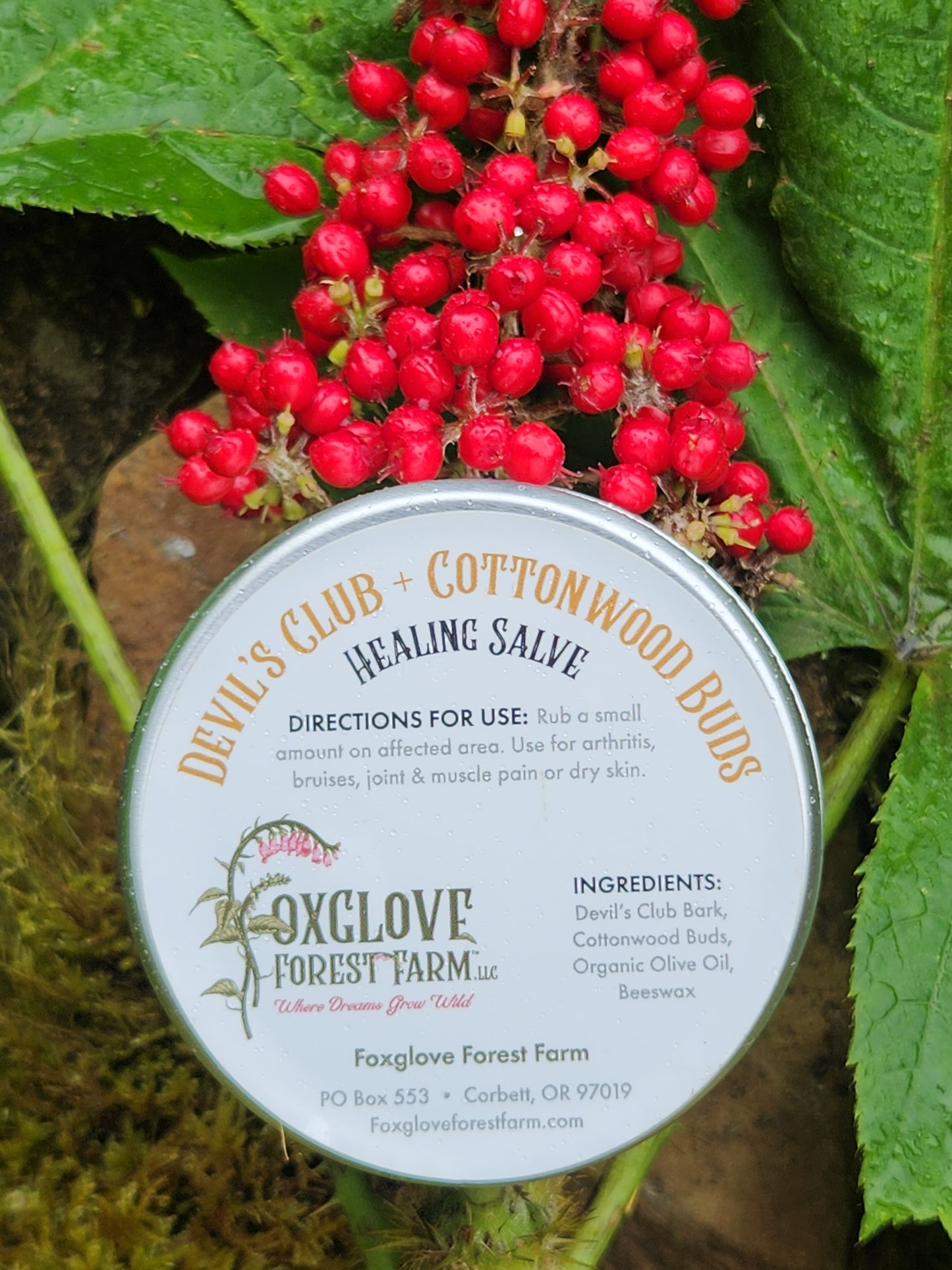 Devil’s Club + Cottonwood Buds Pain Salve