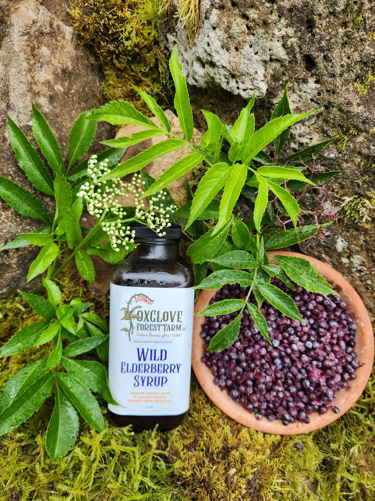 Wild Elderberry Syrup