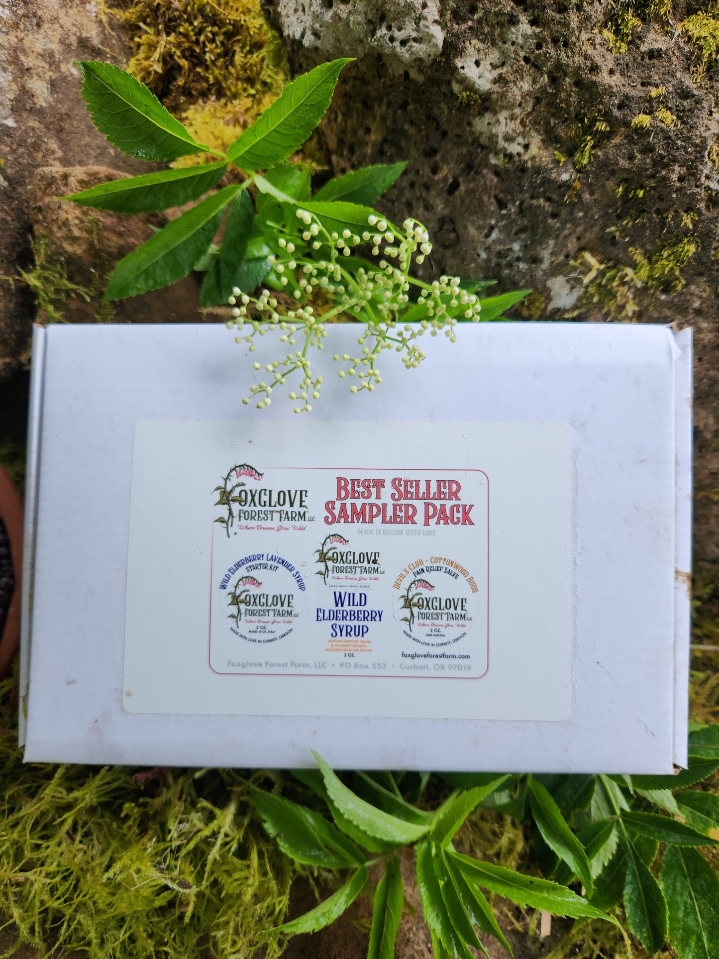 Best Selling Sampler Pack