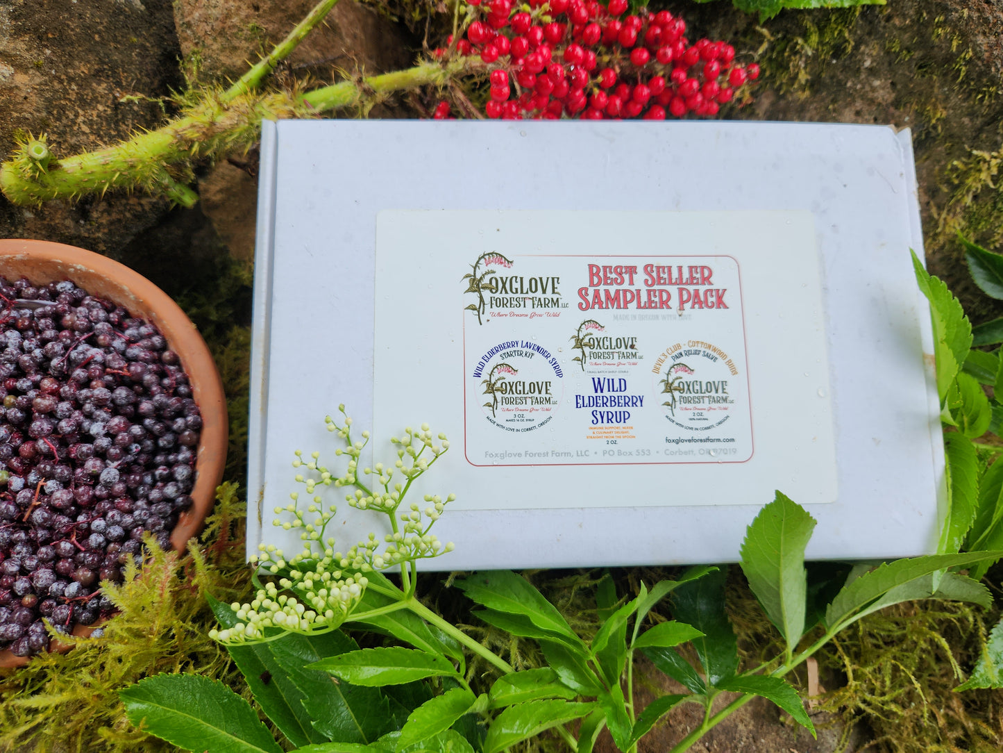Best Selling Sampler Pack
