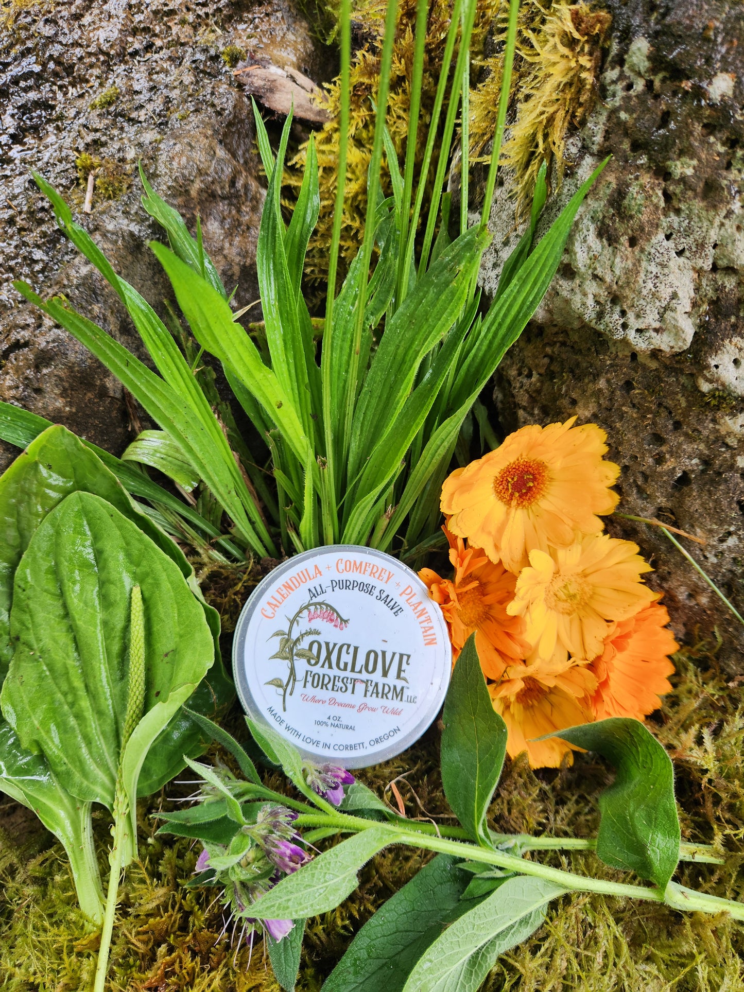 Calendula + Comfrey + Plantain All Purpose Salve