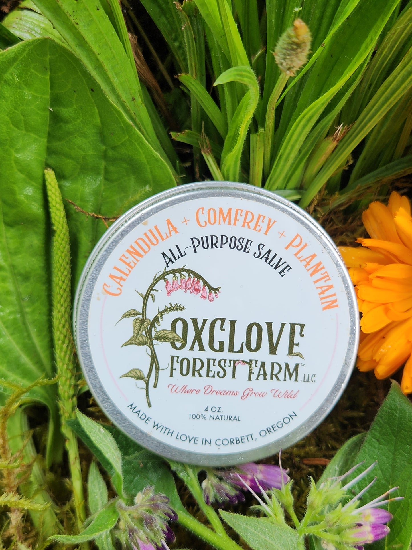Calendula + Comfrey + Plantain All Purpose Salve