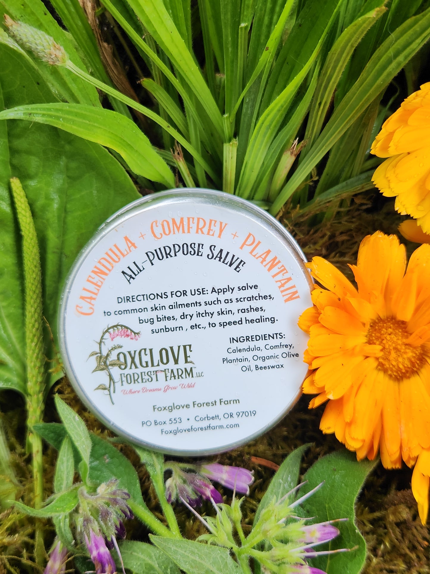 Calendula + Comfrey + Plantain All Purpose Salve