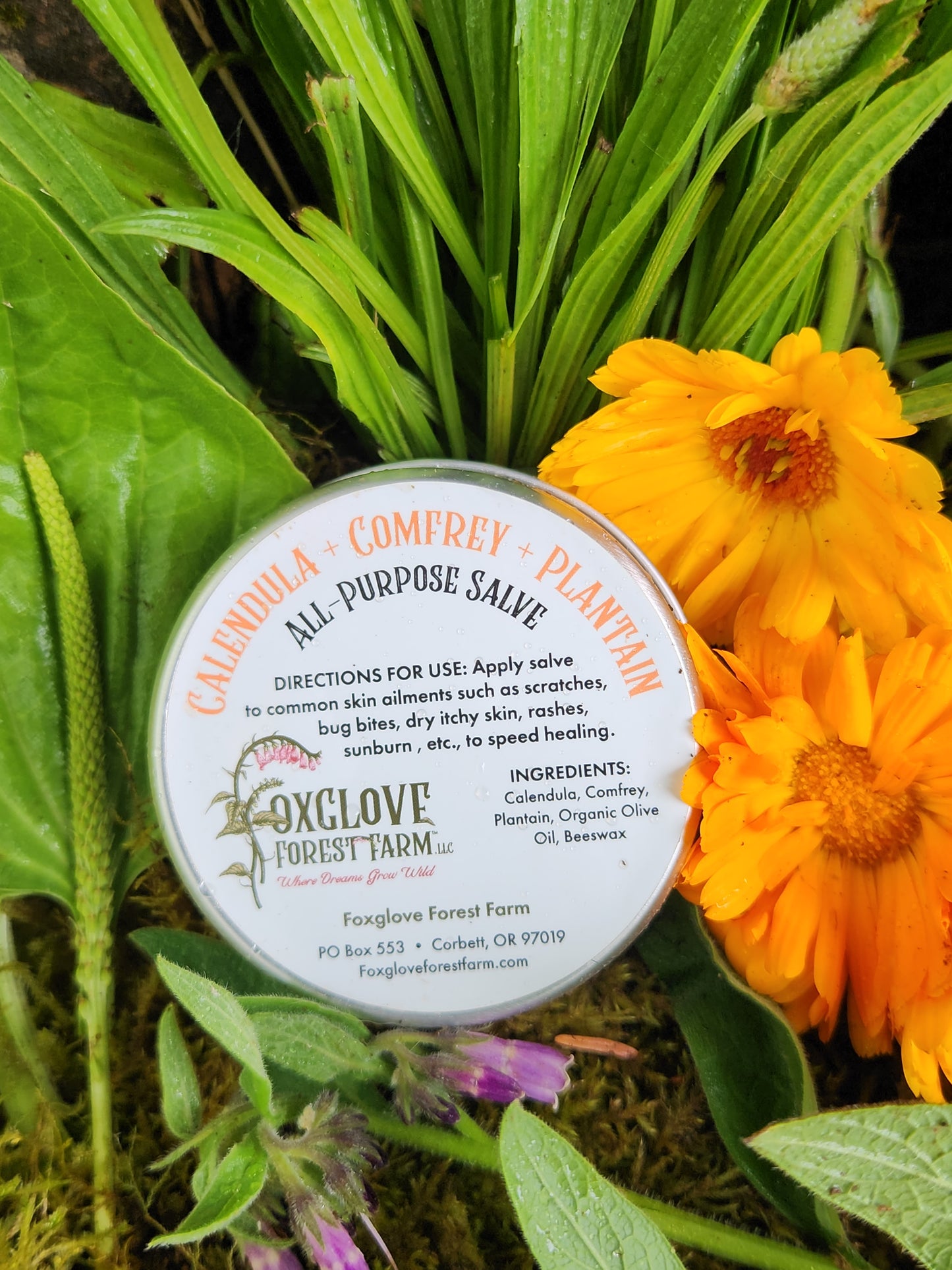 Calendula + Comfrey + Plantain All Purpose Salve