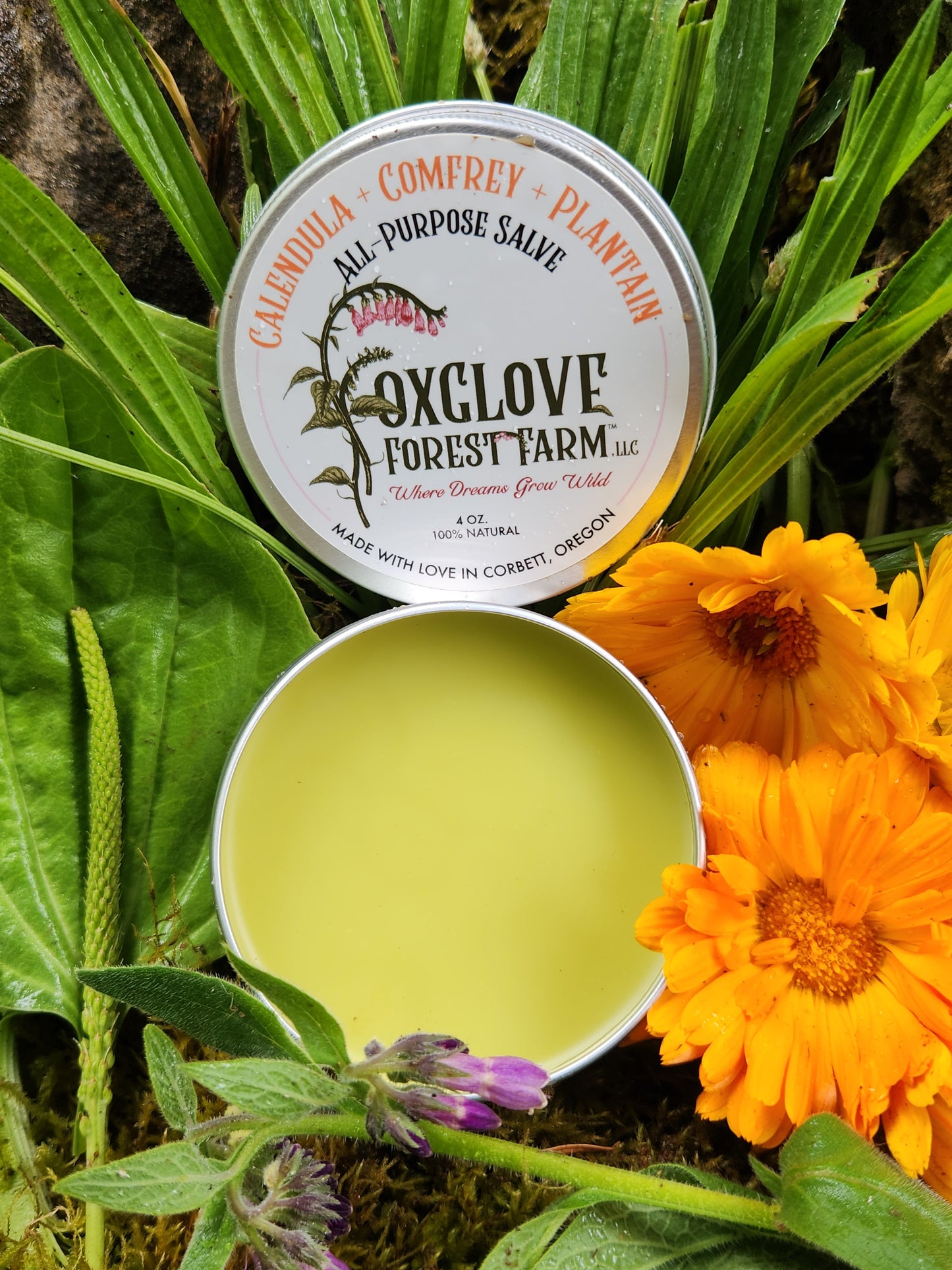 Calendula + Comfrey + Plantain All Purpose Salve