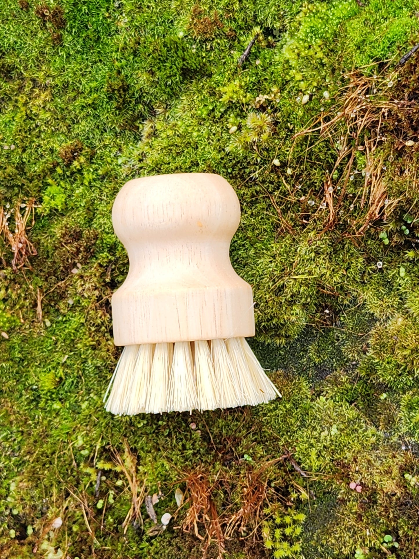 Replacement Brush for Ramekin