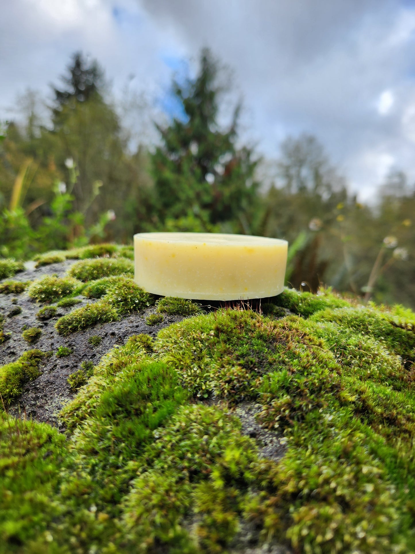 Eco-Friendly Citrus Burst Solid Dish Soap