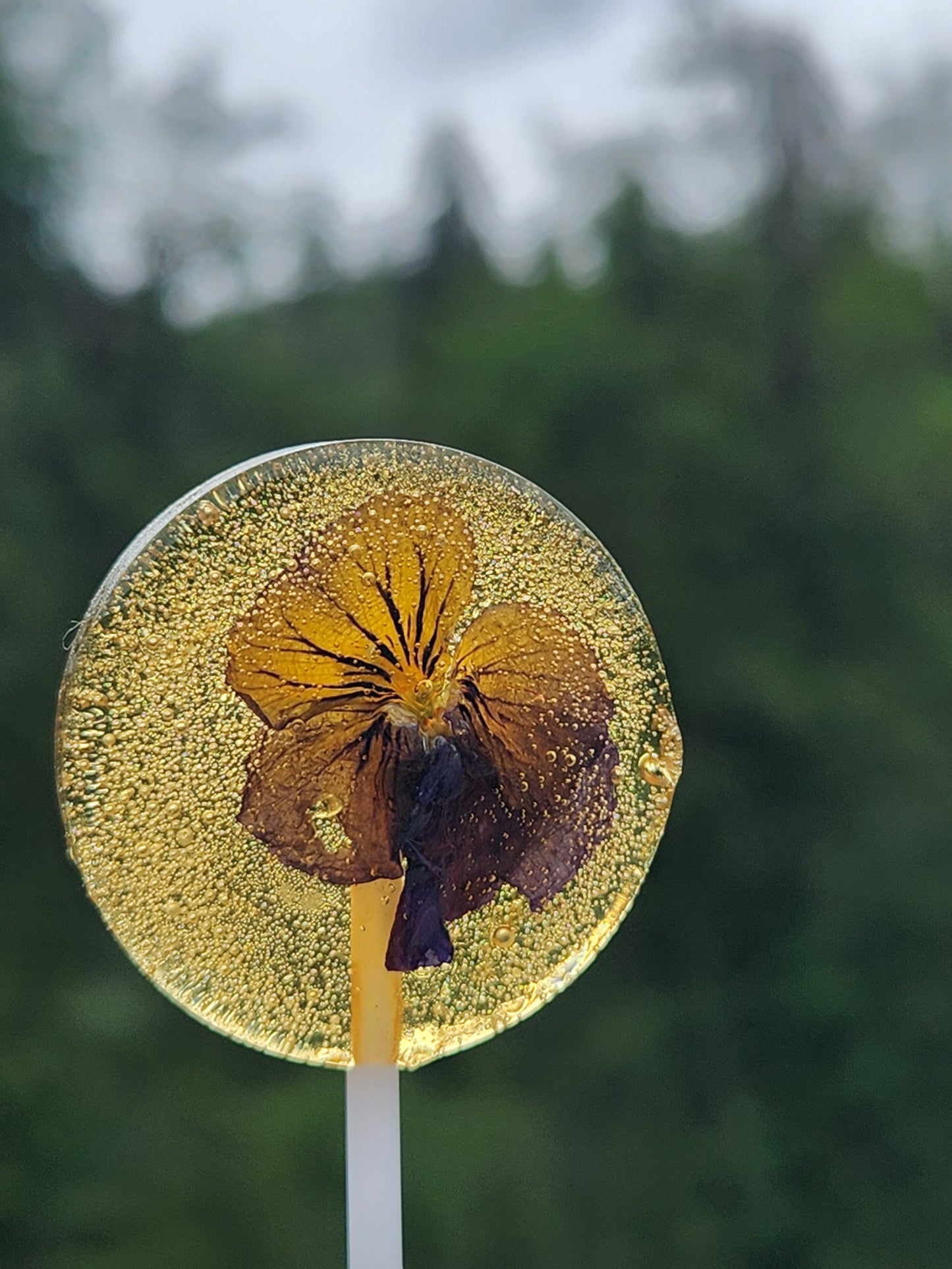 Honey Lollipops