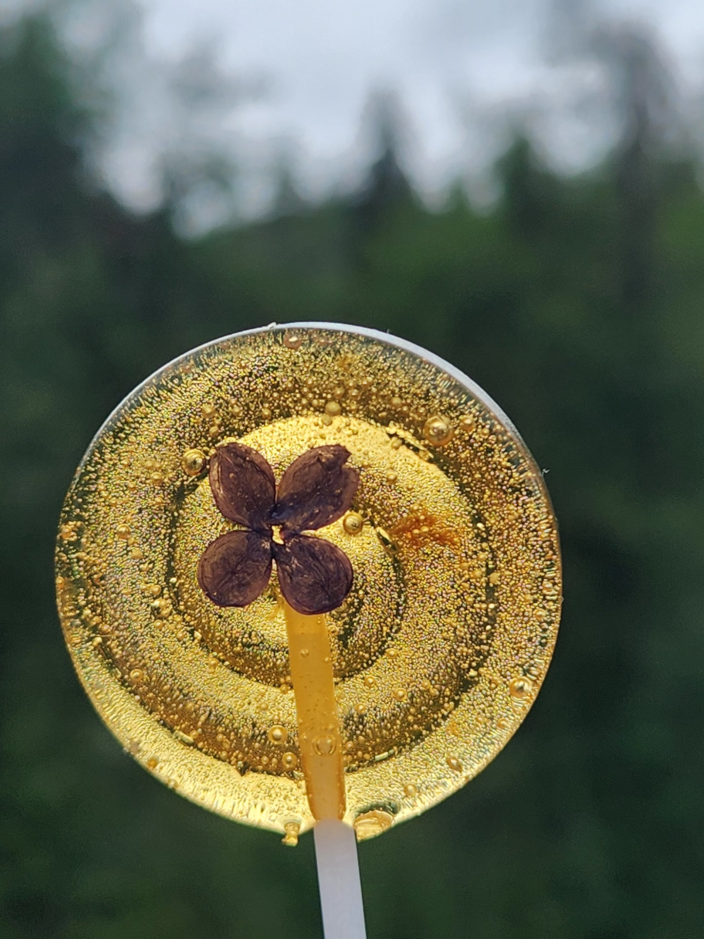 Honey Lollipops