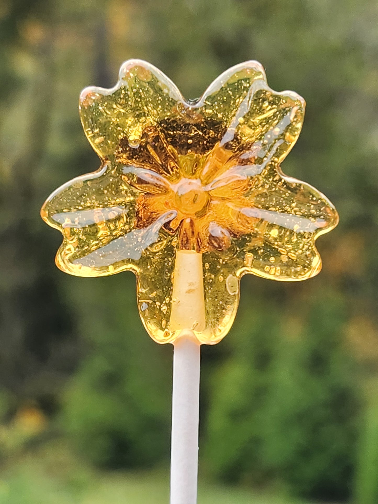 Honey Lollipops